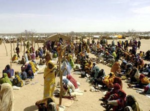 Refugees wait for food supplies on border of Chad and Sudan.