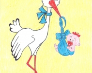 17